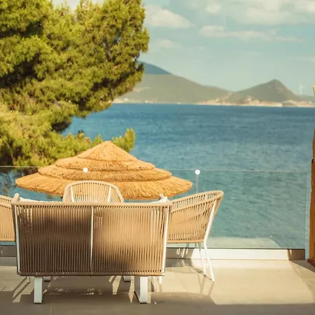 Bay Тризония